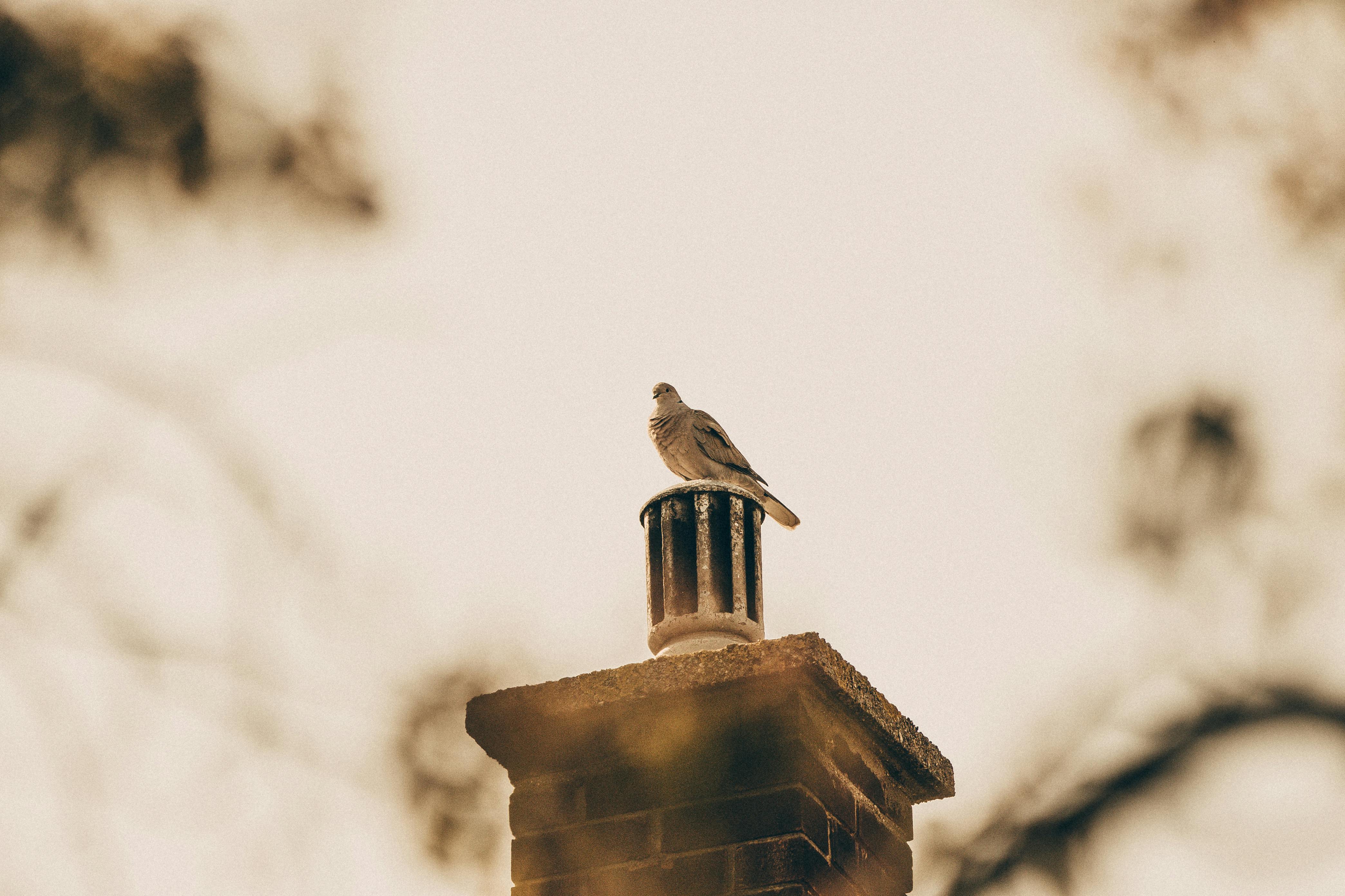 Professional Chimney Cap Installation Services in Salem, MI Expert Chimney Cap Installation in Salem, Michigan